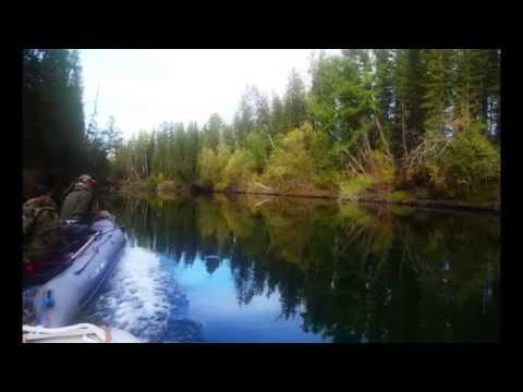 Видео: Отличный 👍 клев ХАРИУСА 🎣в  ТУВЕ на реке Балыктыг-Хем