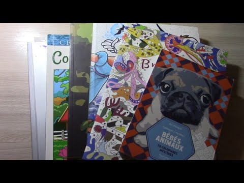 Видео: ЧЕЛЛЕНДЖ 24 ЧАСА РАСКРАШИВАЕМ РАСКРАСКИ ПО НОМЕРАМ