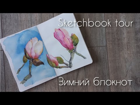 Видео: Обзор скетчбука для зимних путешествий