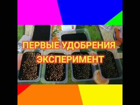 Видео: Удобрения для ситифермы. Эксперимент!??
