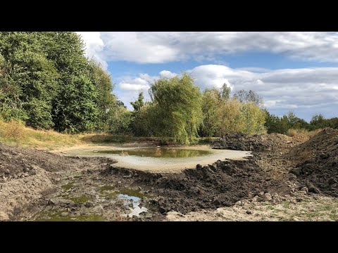 Видео: ЩО Ж МИ НАРОБИЛИ?! СПАСАЄМО СТАВОК! ЗНАЙШЛИ ДЖЕРЕЛО! #СЕЛО