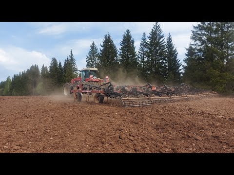 Видео: Трактор РСМ-2375, дисковая борона или культиватор? Демопоказ.