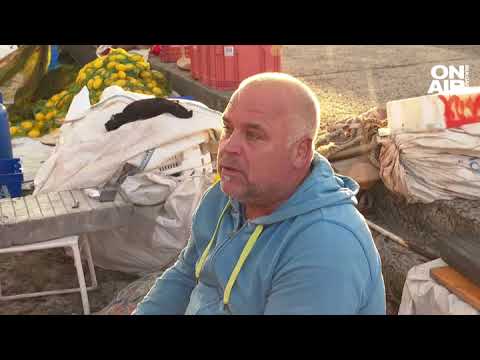 Видео: Бунт на рибарите в Царево заради ниската цена на паламуда, килограмът стигна 4 лв.