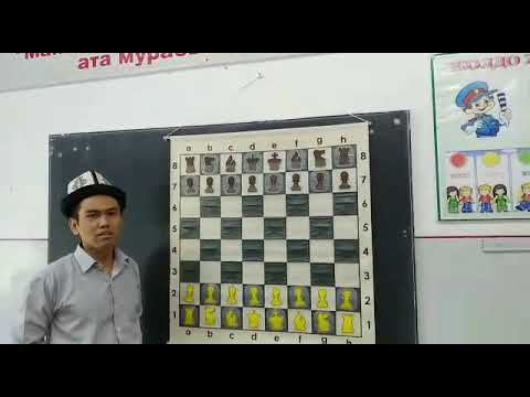 Видео: Шахмат үйрөнүү  1- сабак                       Шахмат талаасы