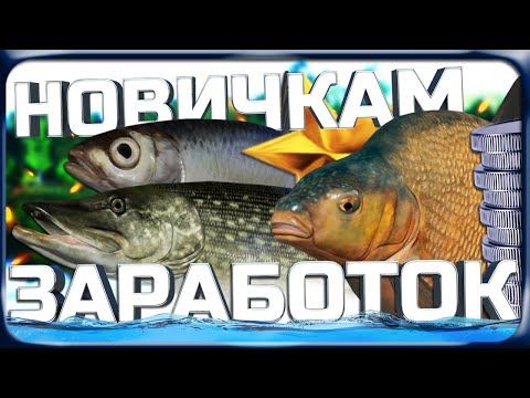 Видео: РР4 ЛУЧШИЕ СПОСОБЫ ЗАРАБОТКА ДЛЯ НОВИЧКОВ!