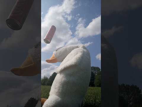 Видео: КАК Я ОТГРЕБАНУЛ МЛАДШЕГО БРАТИКА🖤🖤🖤  #чо #жиза #рекомендации