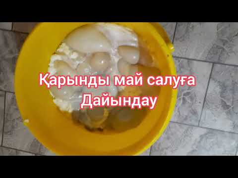 Видео: Қарынды май салуға дайындау / Қарынның бүрін алу / Қарынға май салу / Қарын үрлеу