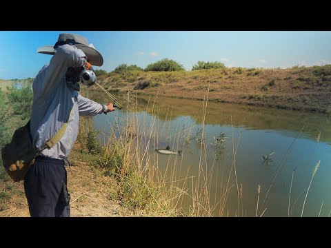 Видео: РОГАТКАМЕН БАЛЫҚ АУЛАУ!!! ЖЫЛАНБАЛЫҚТАН ШАШЛЫК ПІСІРДІМ