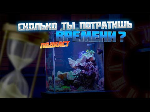 Видео: Сколько уходит времени на морской аквариум?
