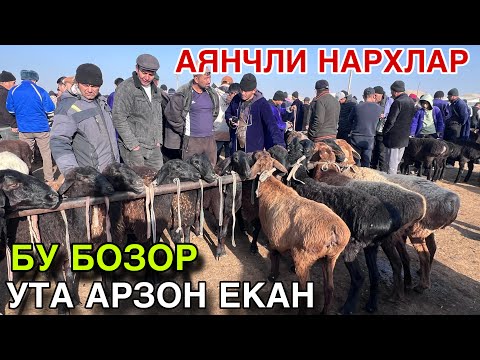 Видео: ЕНДИ ОЛАМИЗ ДУСТЛАР! 9 НОЯБРЯ КУЙ КУЗИ НАРХЛАРИ 2025. КАРШИ КАРВОН МОЛ БОЗОРИ НАРХЛАРИ 2025.