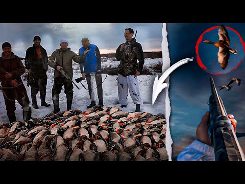 Видео: ТУНДРА. ГУСИ падают ПАЧКАМИ! ЛУЧШЕ ОХОТЫ не ВИДЕЛ!