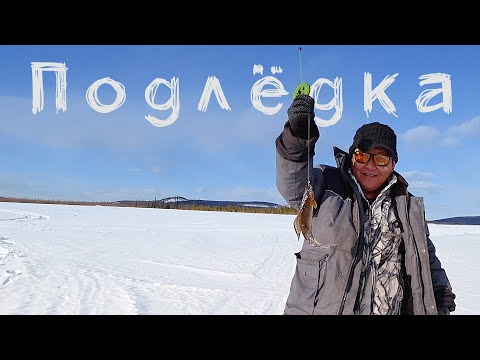 Видео: Душевная песня от Бэркэ. Подлёдная рыбалка на реке Амга.