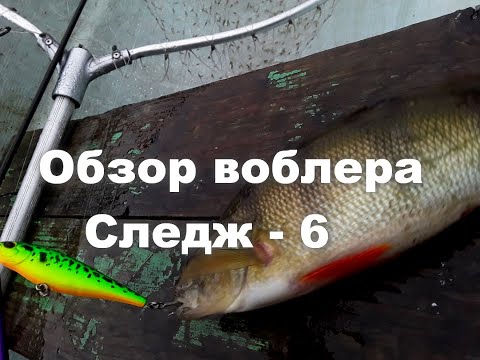 Видео: Обзор воблера Evergreen System Jerk Bait Sledge-6