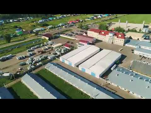 Видео: мясокомбинат Звениговский.