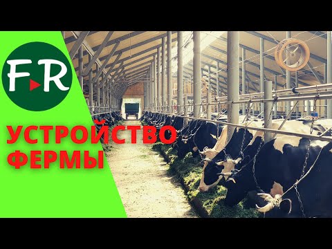 Видео: Устройство и оборудование молочной фермы Помещение для содержания КРС. ЭкоФерма ДемьяНово