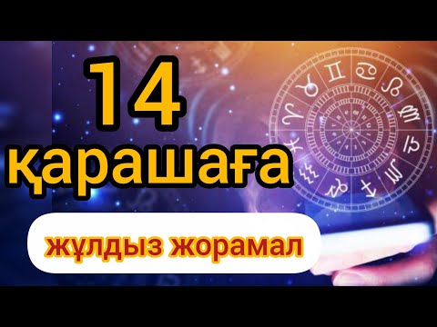 Видео: 14 қарашаға арналған күнделікті нақты сапалы жұлдыз 