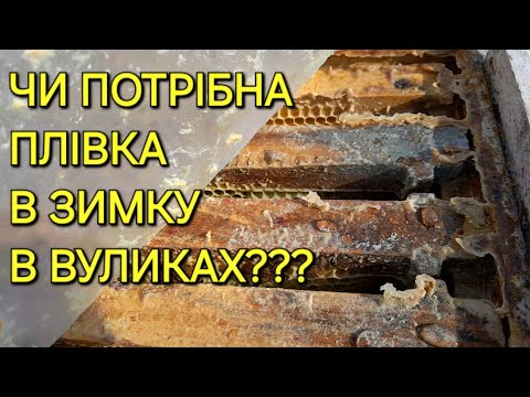 Видео: Чи потрібна плівка в зимку в вуликах??? #бджільництвов6тирамвуликах