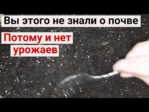 Видео: 4 простых шага, как я восстанавливаю плодородие почвы после сбора урожая. Мой огород на балконе.