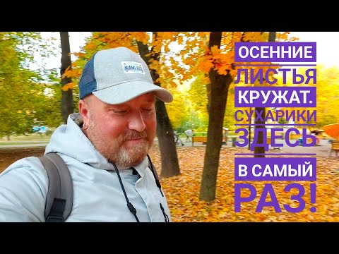 Видео: ОСЕННИЙ ТРИКОЛОР РАЗНЫЕ ЧУВСТВА. СЫТНЫЙ САЛАТ ШЕДЕВРАЛЬНО. 