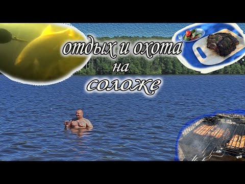 Видео: отдых и охота на соложе