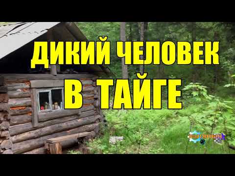 Видео: ОДИНОКИЙ ОТШЕЛЬНИК В ТАЙГЕ