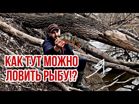Видео: Микроджиг в коряжнике. Просто о сложном.