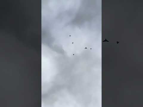 Видео: 5 октября 2025 г.