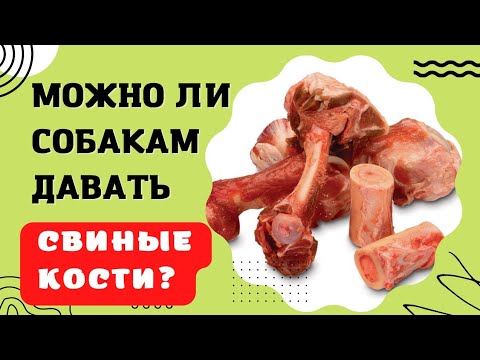 Видео: 🐕📝🐾 Можно ли собаке давать свиные кости?