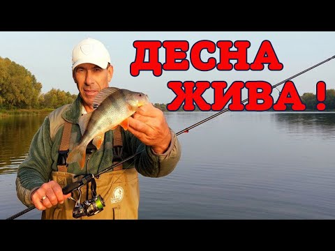 Видео: ⚡ ОКУНЬ НА ДЕСНІ ⚡ ВСЕ НОРМ! КЛЮЄ, ЯК СКАЖЕНИЙ 😀