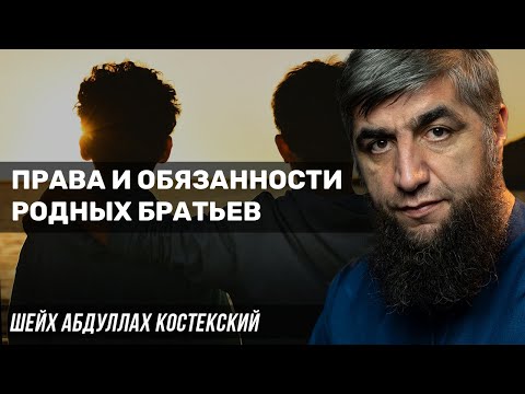 Видео: Права и обязанности родных братьев
