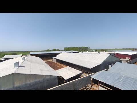 Видео: ИДЕЛАЛДУУ  ФЕРМА ~ Ушундай кылып сарай куруңуз