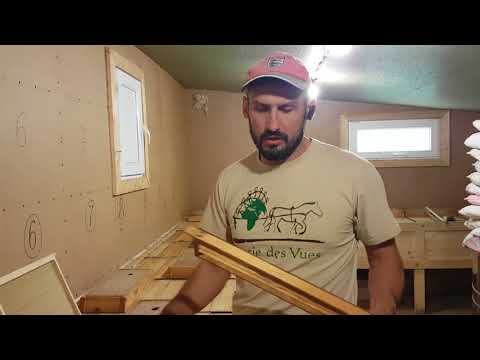 Видео: Прививочная рамка и китайский шпатель 29.04.2018