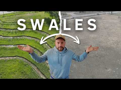 Видео: Создание продовольственного леса с помощью этой техники на моей ферме в пустыне