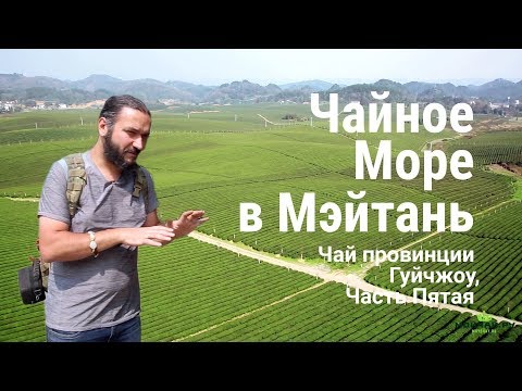 Видео: Мейтань, чайное море. Чай провинции Гуйчжоу, часть пятая