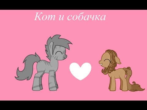 Видео: Уральские пельмени "Кот и собачка"