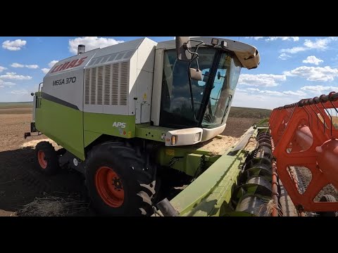 Видео: Комбайн CLAAS MEGA 370. Начало уборки озимой пшеницы.