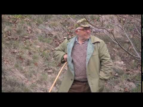 Видео: бай Минчо - един козар в планината