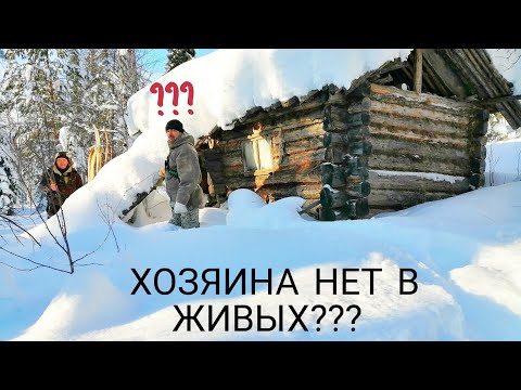 Видео: НАШЁЛ В ТАЙГЕ ИЗБУ! ПЕЧКА РАЗВАЛИЛАСЬ. ОХОТА НА БОРОВУЮ ДИЧЬ. РЕСПУБЛИКА КОМИ / быт охотников.