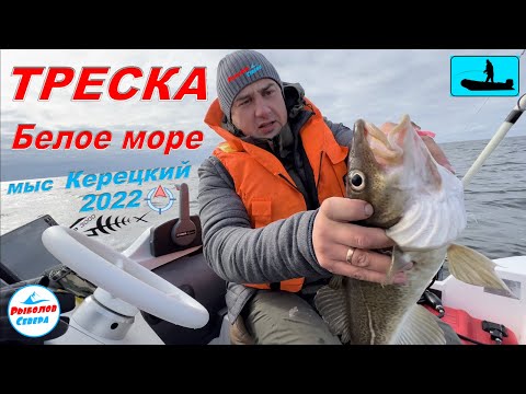 Видео: ✅ ТРЕСКА НА БЕЛОМ МОРЕ 2022  🎣🐟🐟🐟мыс. КЕРЕЦКИЙ #Рыболов_Севера