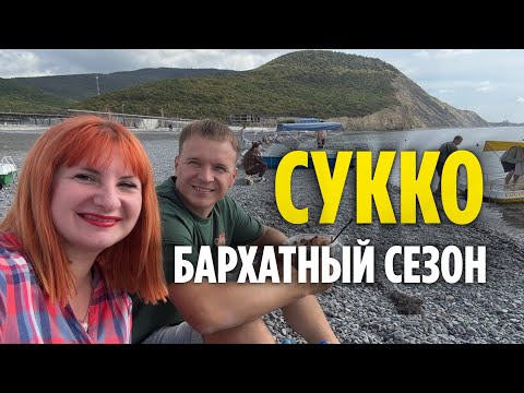 Видео: СУККО БОЛЬШОЙ УТРИШ сегодня. Осень на юге. Бархатный сезон на море Анапа