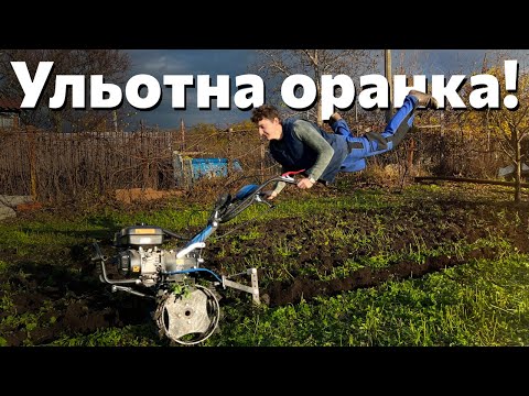Видео: Оральний день на дачі! Як я налаштував плуг і яка глибина оранки?