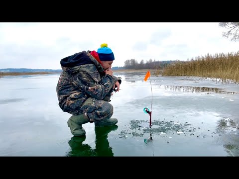 Видео: ПЕРВЫЙ ЛЁД в Подмосковье! Ловля щуки на жерлицы. ОТКРЫТИЕ зимнего сезона!
