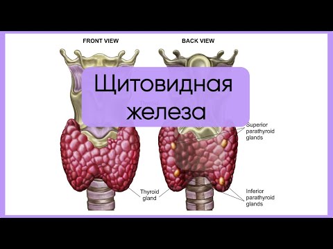 Видео: Гипофункция щитовидной железы (гипотиреоз)