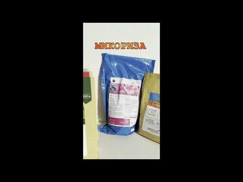 Видео: Микориза