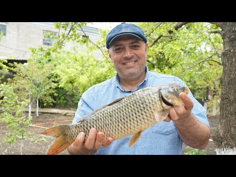 Видео: Сазан и форель НА УГЛЯХ. ШАШЛЫК из РЫБЫ