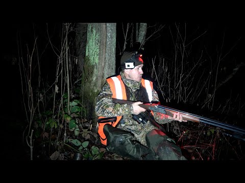 Видео: Охота на бобра с ружьём и подствольным фонарём #41