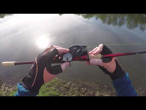 Видео: Комплект Shimano World Shaula 1785RS-2 и Shimano Antares DC MD  в действии.