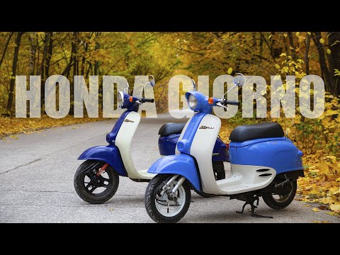 Видео: Honda Giorno. Цена покупки, обслуживания, плюсы и минусы. Часть 2