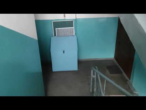 Видео: Цокот копыт в падике