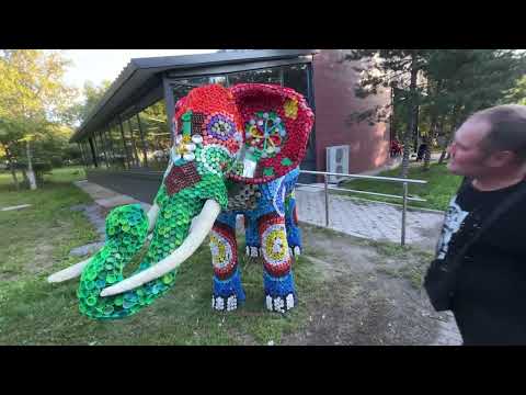 Видео: Прекрасный вечер с семьей